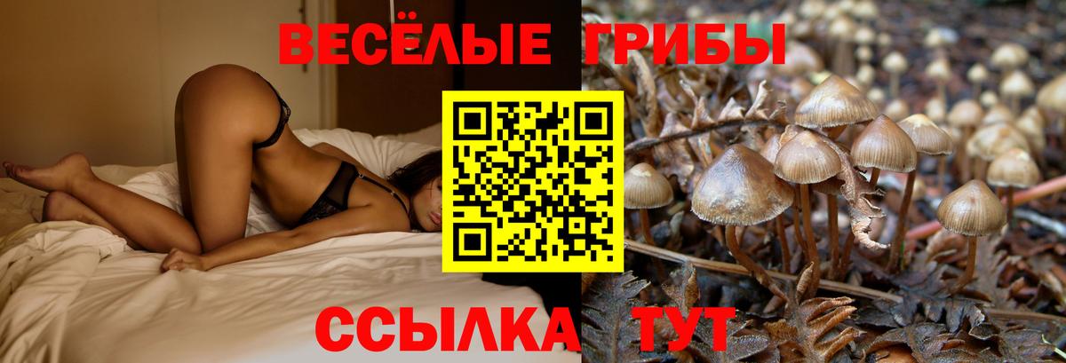 Псилоцибиновые грибы Magic Shrooms Дальнереченск